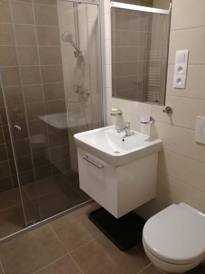 Apartman Praded V Rickach - Ricky V Orlickych Horach Kültér fotó